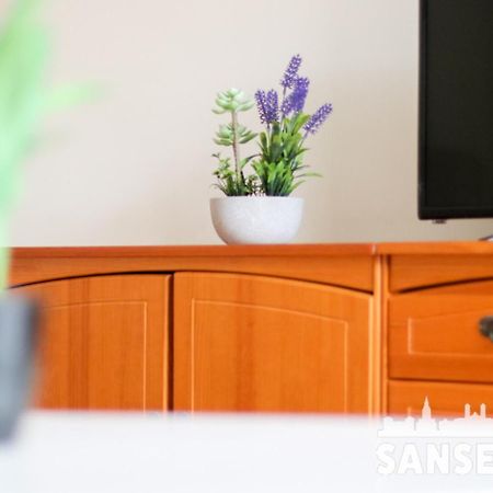 Apartamento Colon By Sanse Holidays سان سيباستيان المظهر الخارجي الصورة
