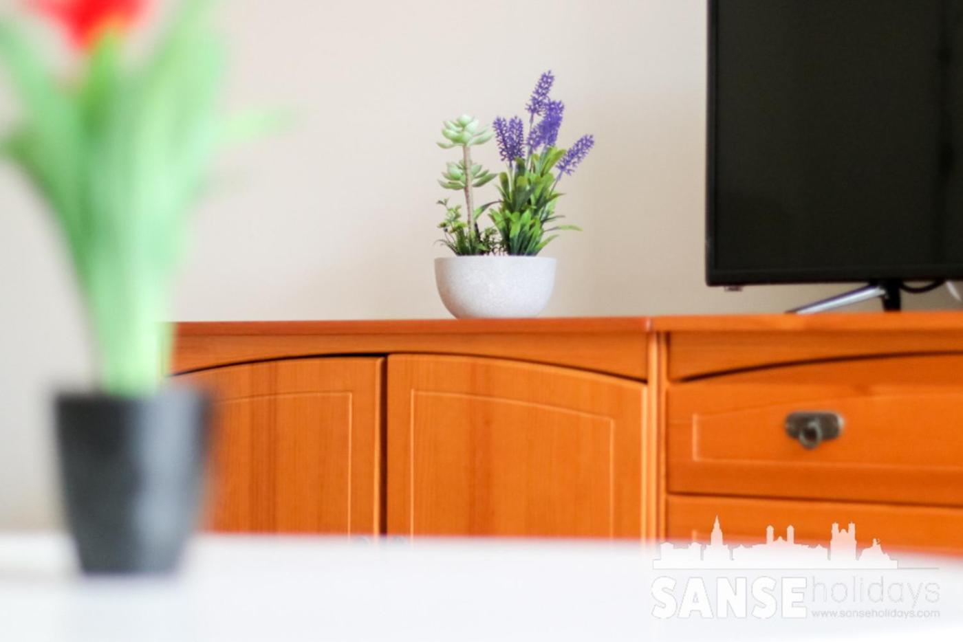 Apartamento Colon By Sanse Holidays سان سيباستيان المظهر الخارجي الصورة